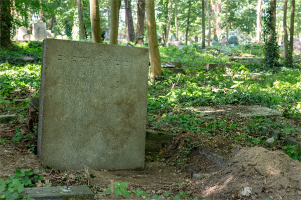 Benzion Wolf David gravestone